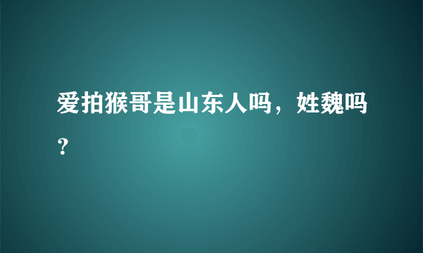 爱拍猴哥是山东人吗，姓魏吗？