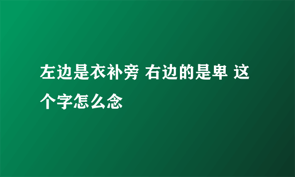 左边是衣补旁 右边的是卑 这个字怎么念