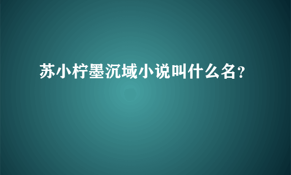 苏小柠墨沉域小说叫什么名？