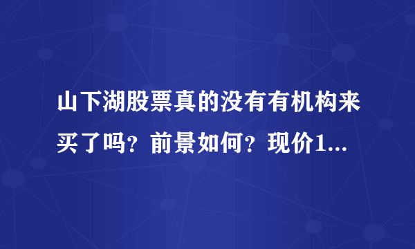 山下湖股票真的没有有机构来买了吗？前景如何？现价11,5元能买吗？