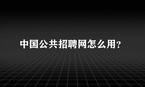 中国公共招聘网怎么用？