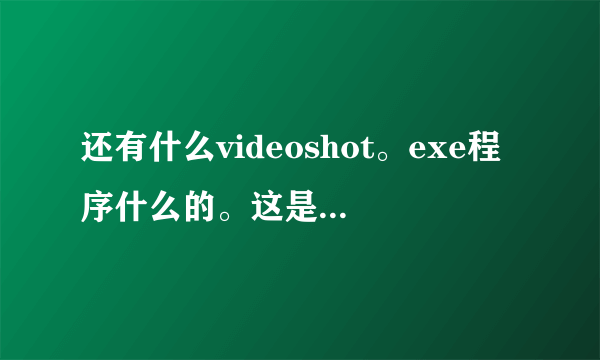 还有什么videoshot。exe程序什么的。这是什么东西？