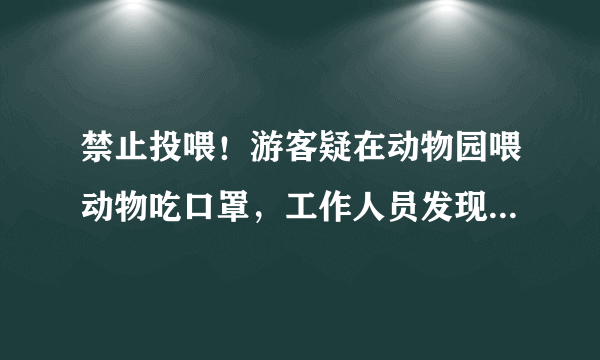 禁止投喂！游客疑在动物园喂动物吃口罩，工作人员发现后急忙拽出