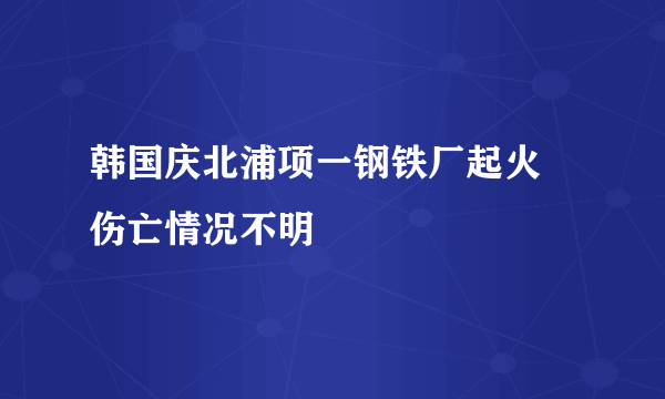 韩国庆北浦项一钢铁厂起火 伤亡情况不明