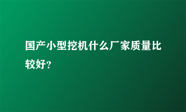 国产小型挖机什么厂家质量比较好？