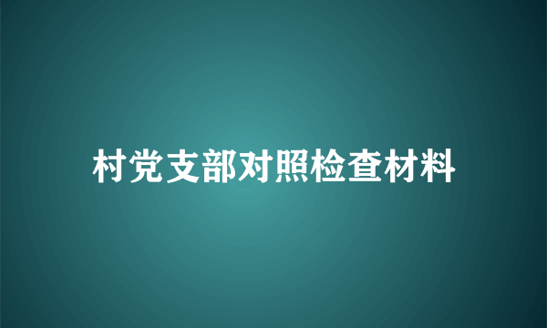 村党支部对照检查材料