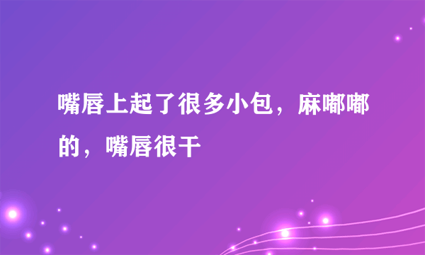 嘴唇上起了很多小包，麻嘟嘟的，嘴唇很干