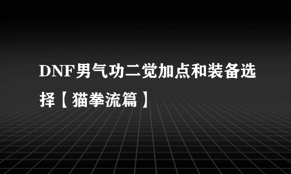 DNF男气功二觉加点和装备选择【猫拳流篇】