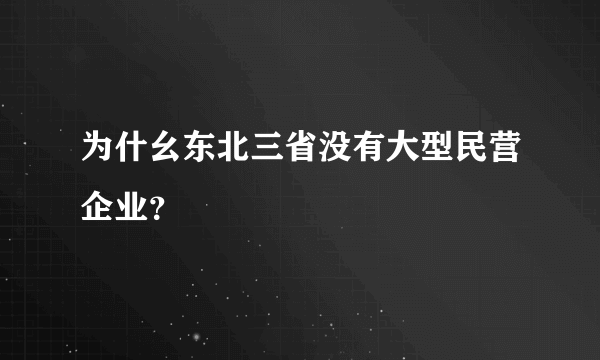 为什幺东北三省没有大型民营企业？