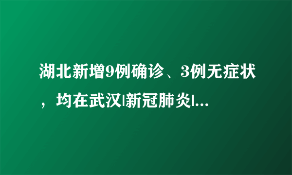 湖北新增9例确诊、3例无症状，均在武汉|新冠肺炎|武汉|湖北