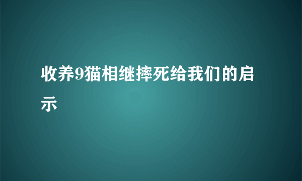 收养9猫相继摔死给我们的启示