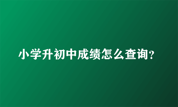 小学升初中成绩怎么查询？