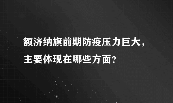 额济纳旗前期防疫压力巨大，主要体现在哪些方面？