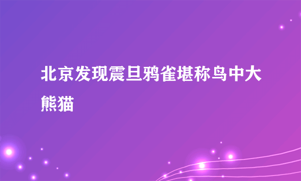 北京发现震旦鸦雀堪称鸟中大熊猫