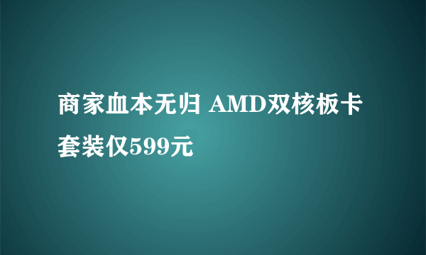 商家血本无归 AMD双核板卡套装仅599元