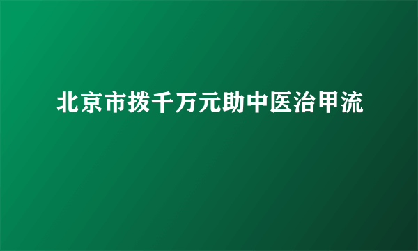 北京市拨千万元助中医治甲流