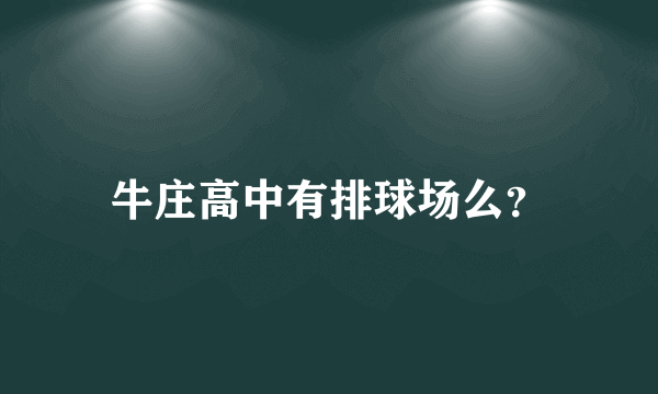 牛庄高中有排球场么？