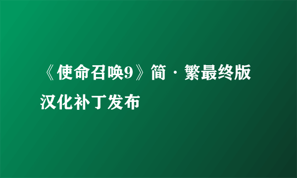 《使命召唤9》简·繁最终版汉化补丁发布