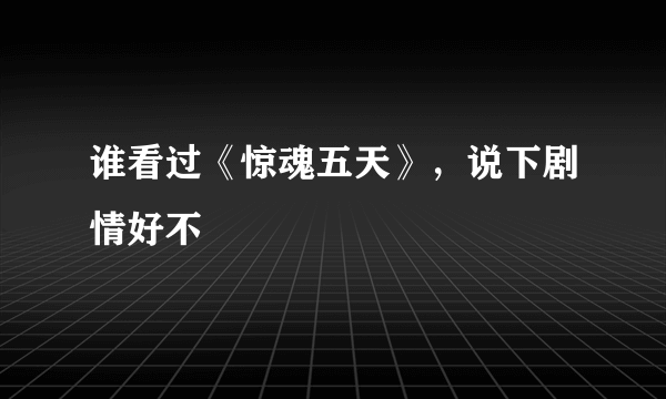 谁看过《惊魂五天》，说下剧情好不