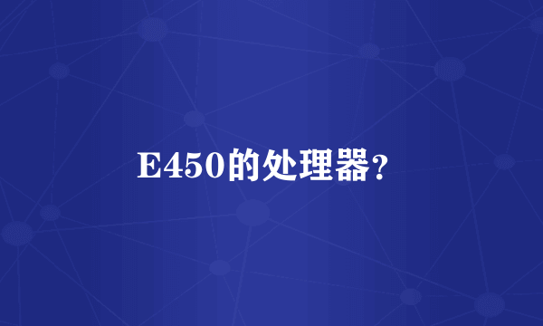 E450的处理器？