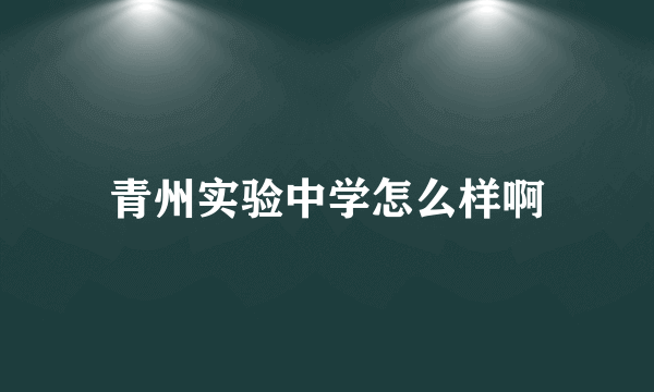 青州实验中学怎么样啊