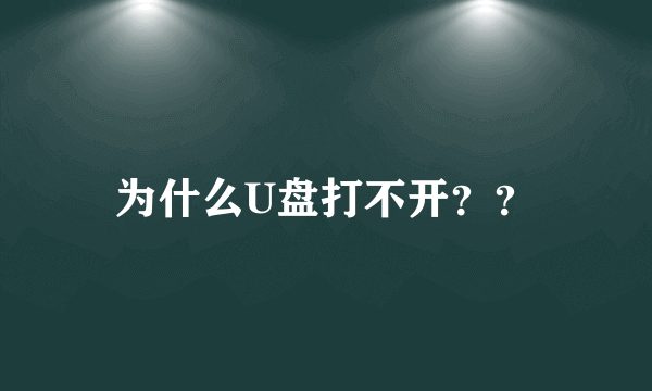 为什么U盘打不开？？