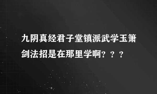 九阴真经君子堂镇派武学玉箫剑法招是在那里学啊？？？