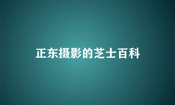 正东摄影的芝士百科