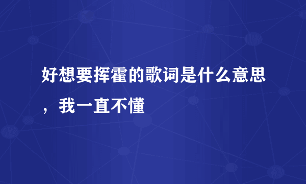 好想要挥霍的歌词是什么意思，我一直不懂