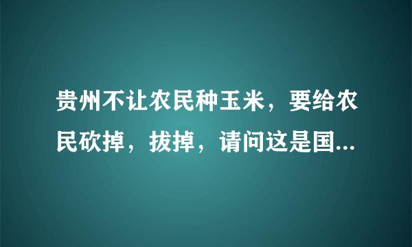 贵州不让农民种玉米，要给农民砍掉，拔掉，请问这是国家政策吗？