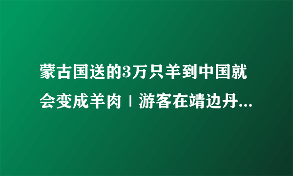 蒙古国送的3万只羊到中国就会变成羊肉｜游客在靖边丹霞地貌刻字表白