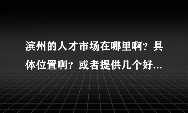 滨州的人才市场在哪里啊？具体位置啊？或者提供几个好点的网上的人才网招聘网之类的网站？