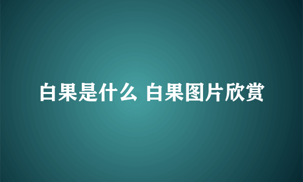 白果是什么 白果图片欣赏