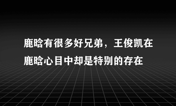 鹿晗有很多好兄弟，王俊凯在鹿晗心目中却是特别的存在