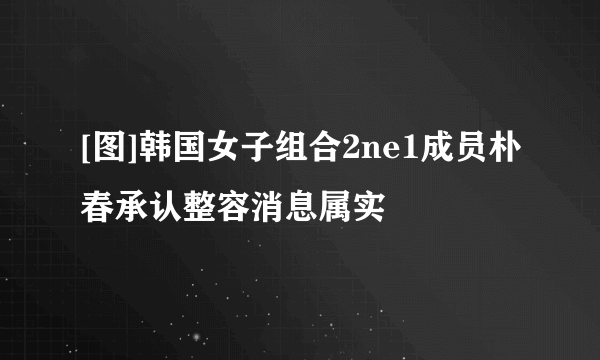 [图]韩国女子组合2ne1成员朴春承认整容消息属实