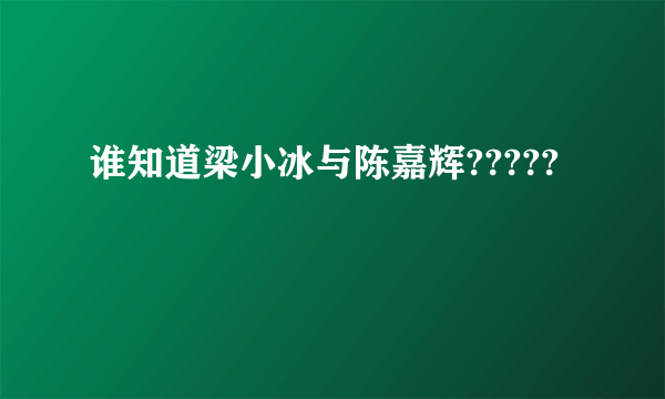 谁知道梁小冰与陈嘉辉?????