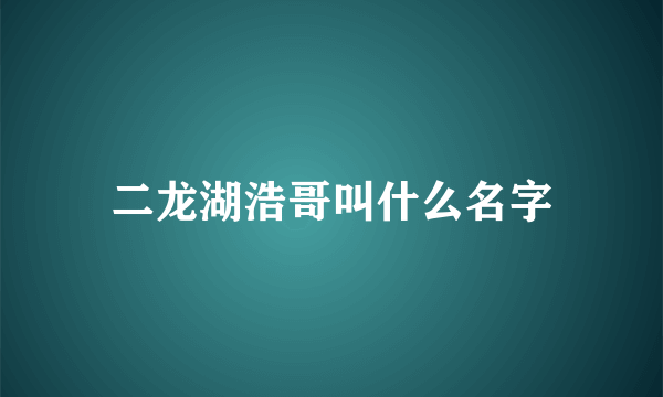 二龙湖浩哥叫什么名字