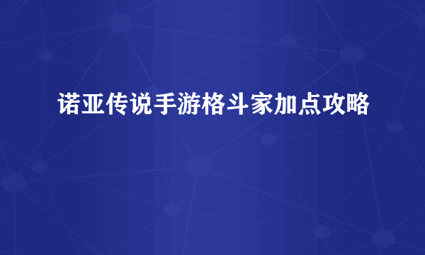 诺亚传说手游格斗家加点攻略