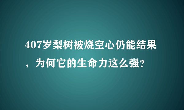 407岁梨树被烧空心仍能结果，为何它的生命力这么强？