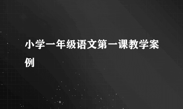 小学一年级语文第一课教学案例