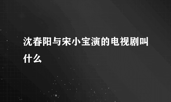 沈春阳与宋小宝演的电视剧叫什么