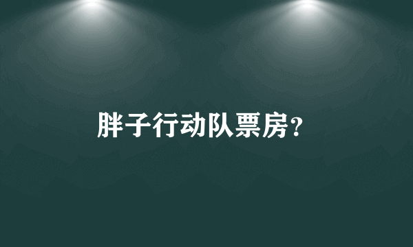 胖子行动队票房？