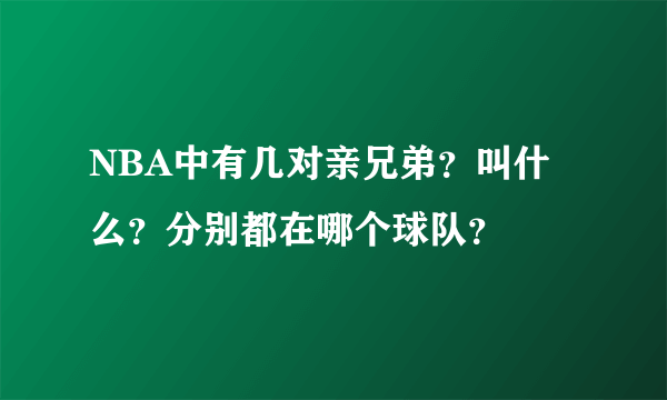 NBA中有几对亲兄弟？叫什么？分别都在哪个球队？