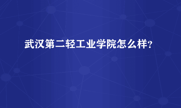 武汉第二轻工业学院怎么样？