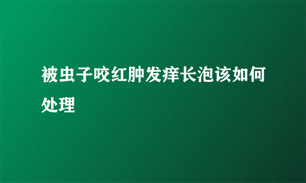 被虫子咬红肿发痒长泡该如何处理