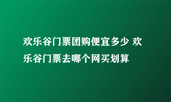 欢乐谷门票团购便宜多少 欢乐谷门票去哪个网买划算