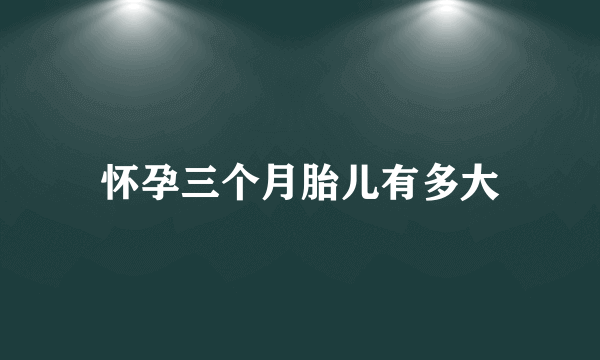 怀孕三个月胎儿有多大