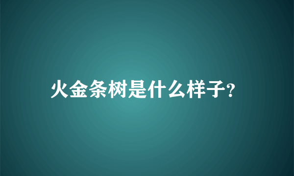 火金条树是什么样子？