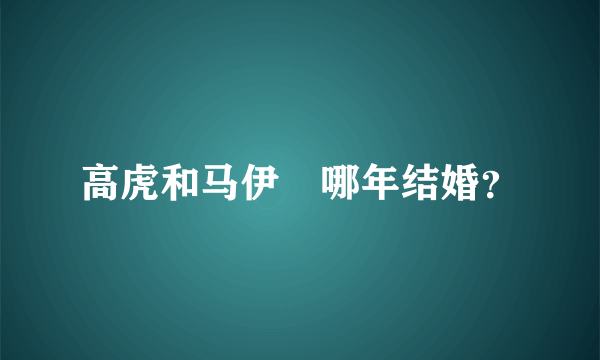 高虎和马伊琍哪年结婚？