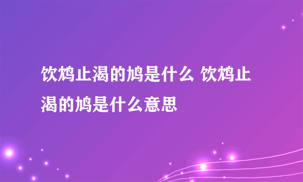 饮鸩止渴的鸠是什么 饮鸩止渴的鸠是什么意思